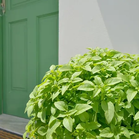 Dioni Lux Guest house Pachaina