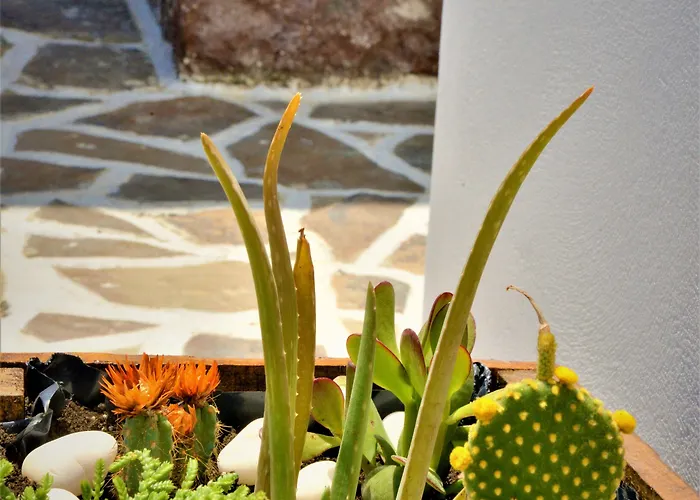 Konukevi Dioni Lux Pachaina