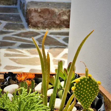 Pensión Dioni Lux Pachaina