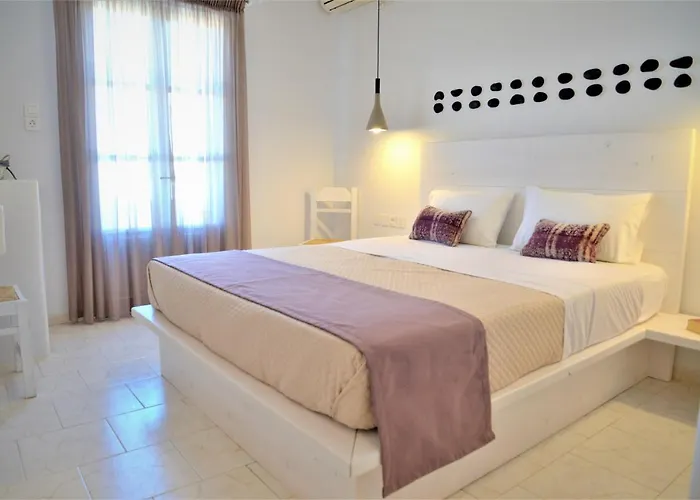 Dioni Lux Pensionat Pachaina